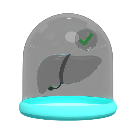 Liver In Glass Dome  3D Icon