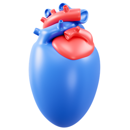 Liver Organ  3D Icon