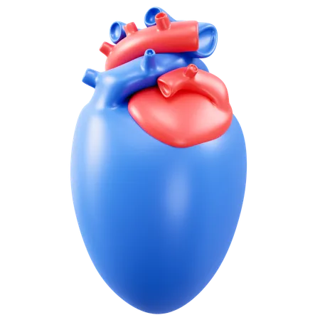 Liver Organ  3D Icon