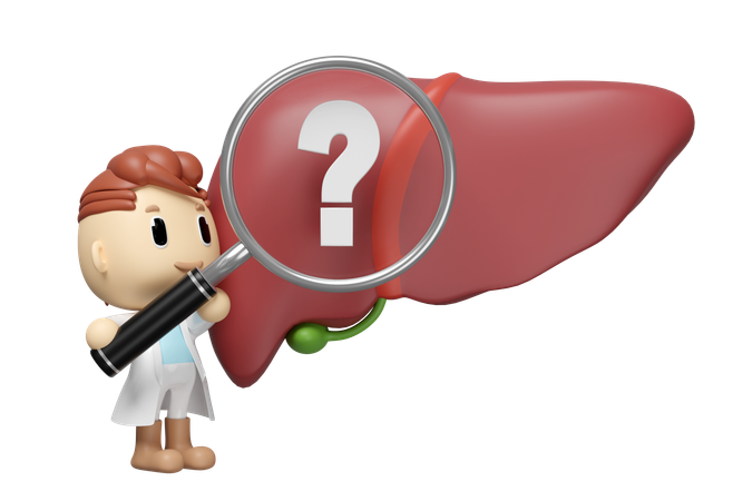 Liver Research  3D Icon