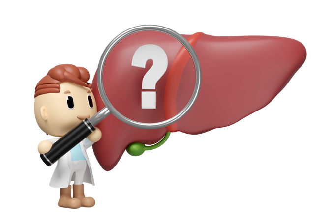 Liver Research  3D Icon