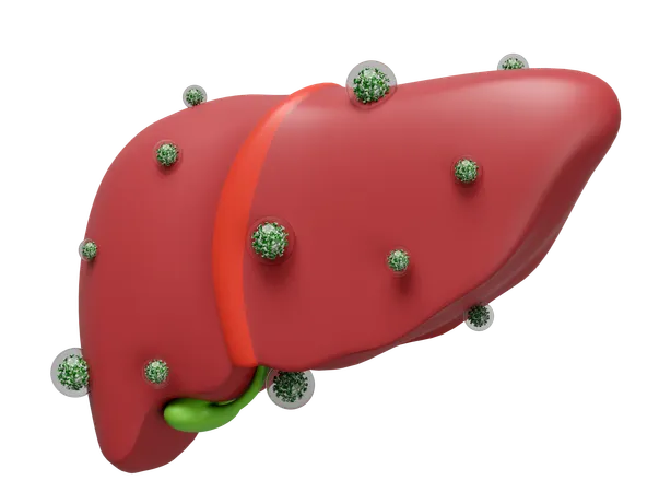 Liver Virus Infection  3D Icon