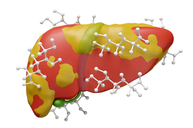 Liver With Glucose  3D Icon