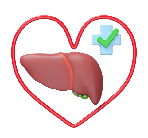 Liver With Heart  3D Icon