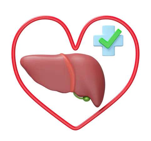 Liver With Heart  3D Icon