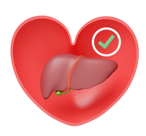 Liver With Heart  3D Icon