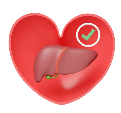 Liver With Heart  3D Icon