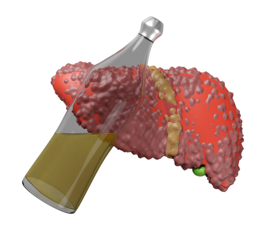 Liver With Liquor 3D Icon