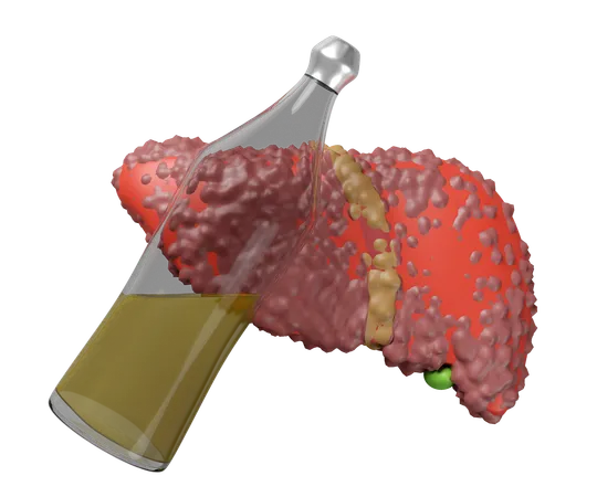 Liver With Liquor  3D Icon