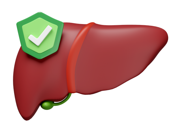 Liver With Shield  3D Icon