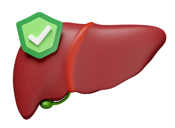 Liver With Shield  3D Icon