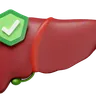 Liver With Shield