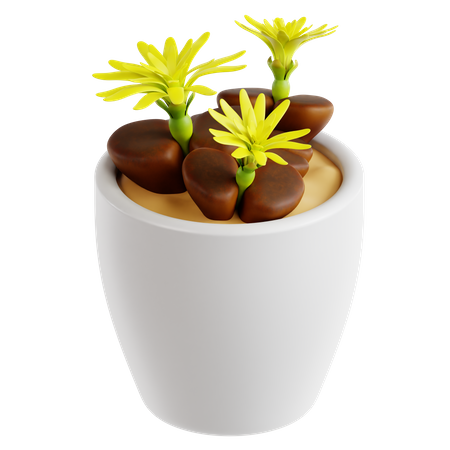 Living Stone Plant  3D Icon
