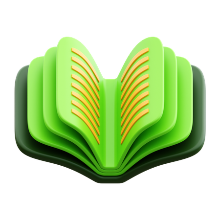 Livre  3D Icon