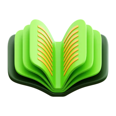 Livre  3D Icon