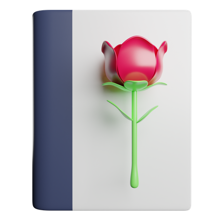 Livre de roman  3D Icon