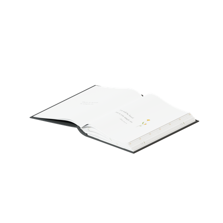 Livre ouvert  3D Icon
