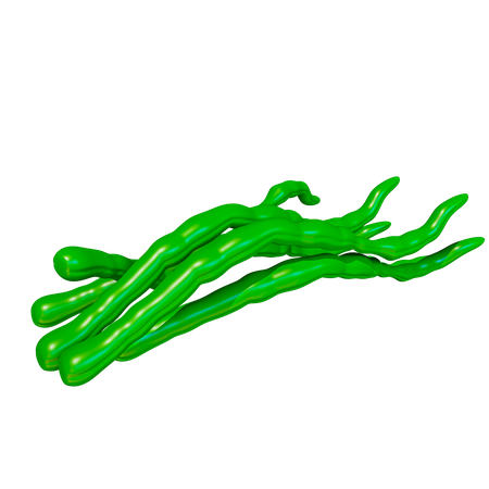 Long Beans  3D Icon