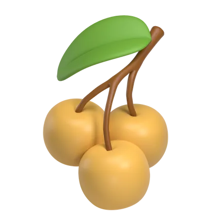 Longan  3D Icon