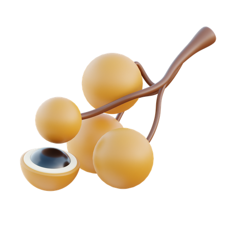 Longan  3D Icon