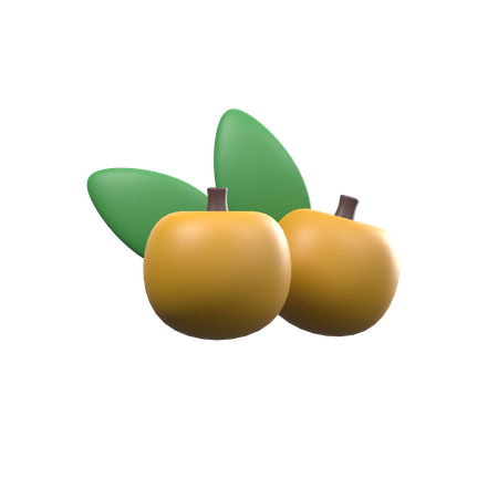 Longan  3D Icon