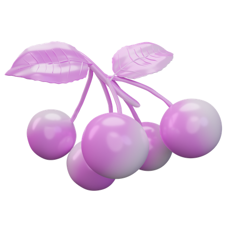 Longan  3D Icon