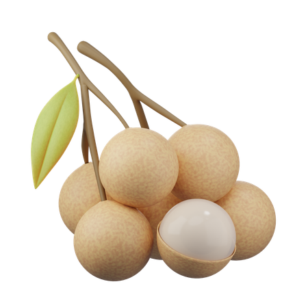 Longan 3d icon  3D Icon