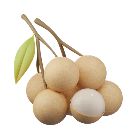 Longan 3d icon  3D Icon