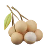 longan 3d icon