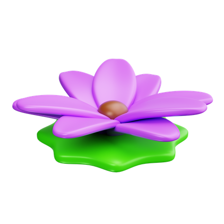 Lotus  3D Icon