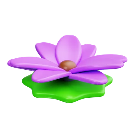 Lotus  3D Icon