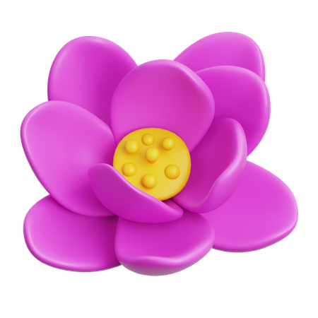 Lotus  3D Icon