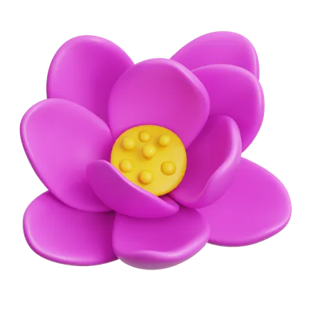 Lotus  3D Icon