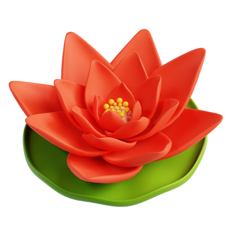 Lotus  3D Icon