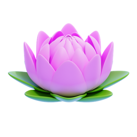 Lotus  3D Icon