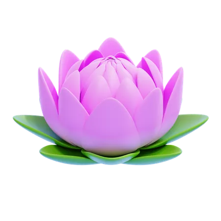 Lotus  3D Icon