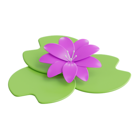 Lotus  3D Icon