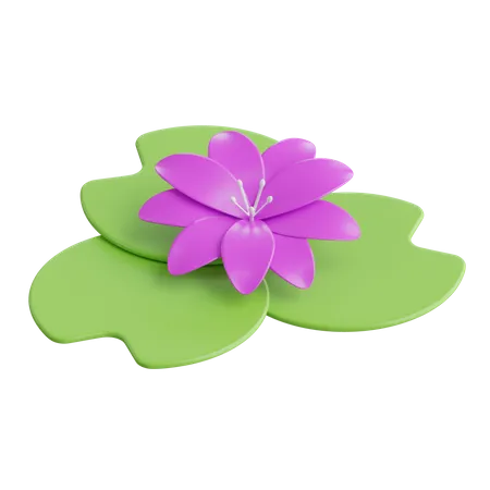 Lotus  3D Icon