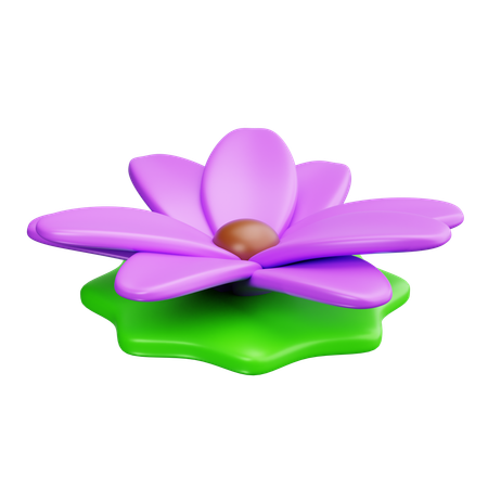 Lotus  3D Icon