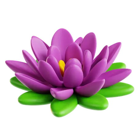 Lotus  3D Icon