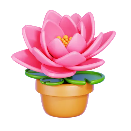 Lotus  3D Icon