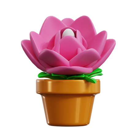 Lotus  3D Icon