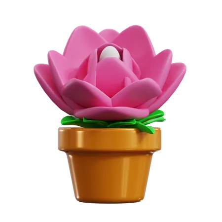 Lotus  3D Icon