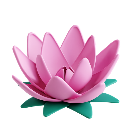 Lotus  3D Icon