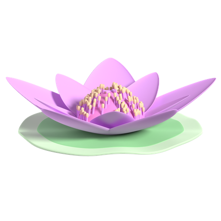Lotus  3D Icon