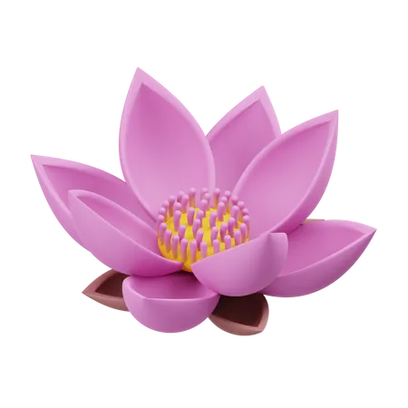 Lotus  3D Illustration