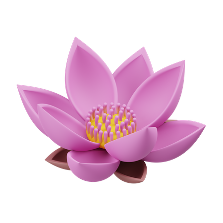 Lotus 3D Illustration