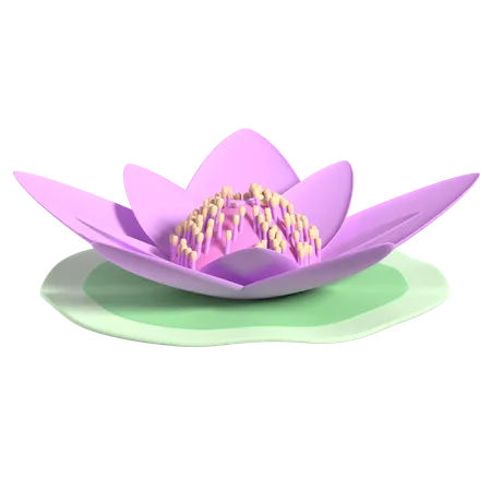 Lotus  3D Illustration