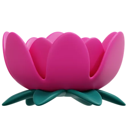 Lotus  3D Icon