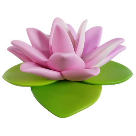 Célébration chinoise du lotus en fleurs  3D Icon